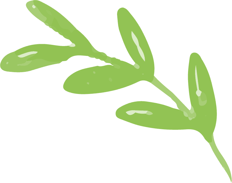 leaves free img.png